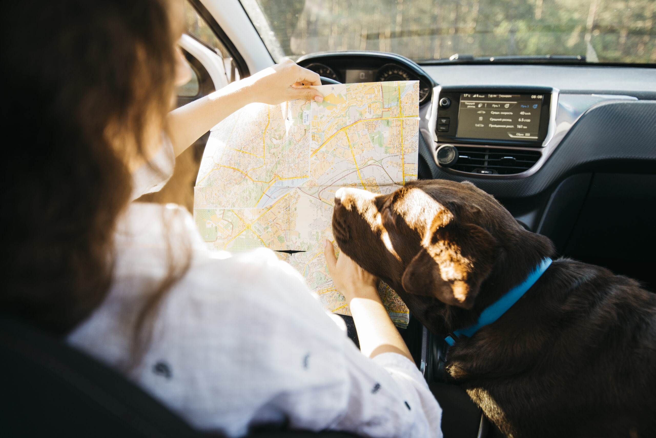 Hundeführerschein Bremen