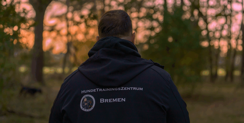 HundeTrainingsZentrum Bremen - Hundeschule - Einzelstunde
