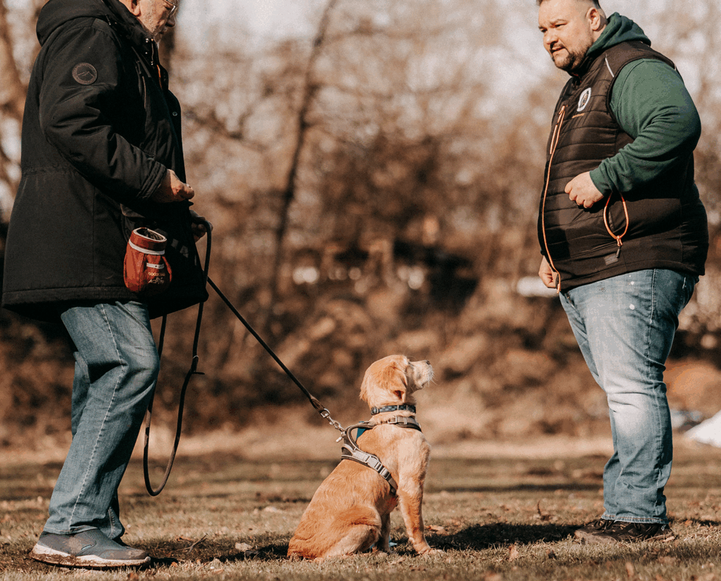 HundeTrainingsZentrum Bremen - Hundeschule - Einzelstunde